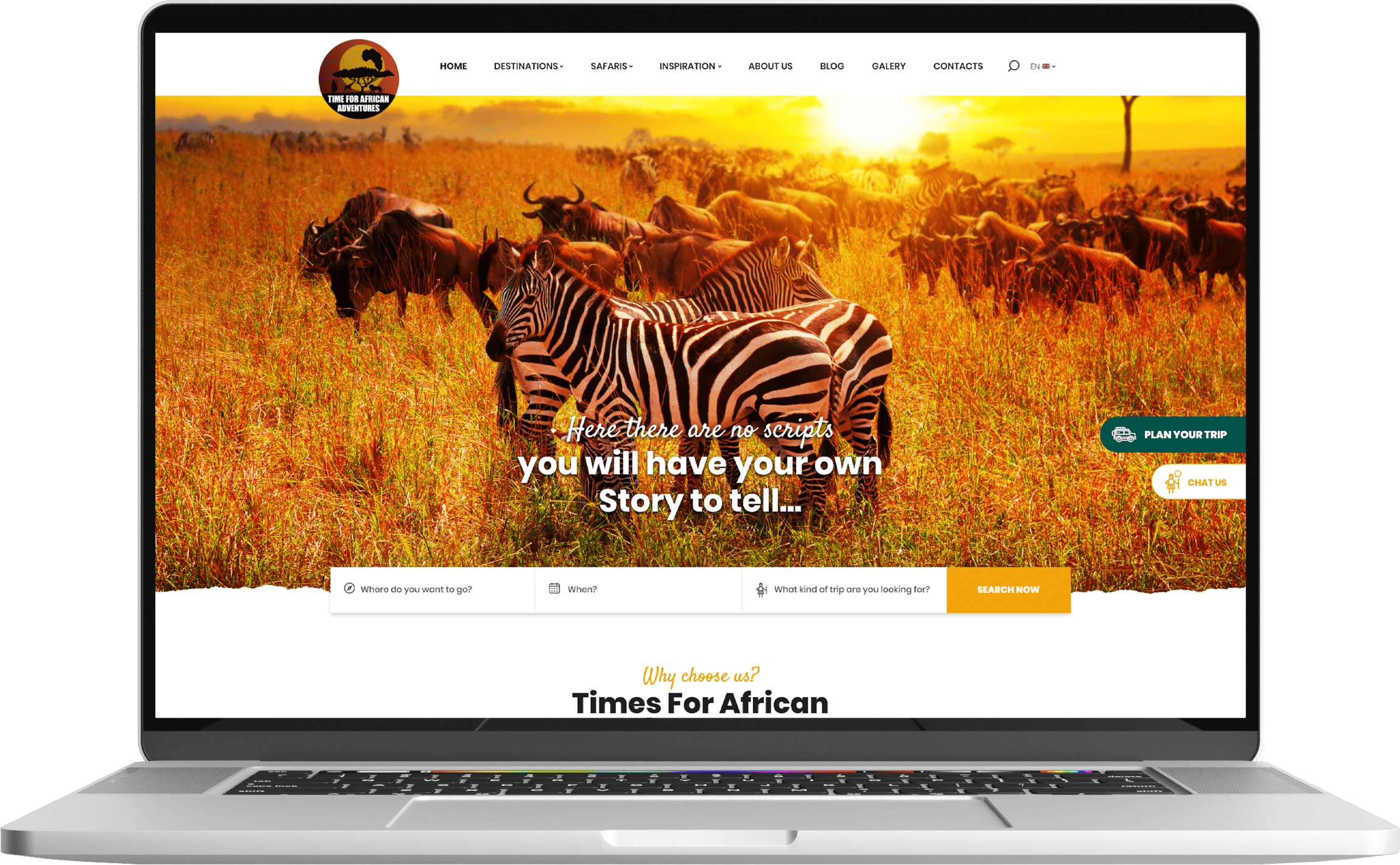 Time for African Adventures - website desktop